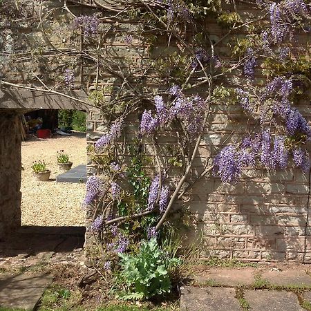 Ross-on-Wye The Coach House Bed & Breakfast エクステリア 写真