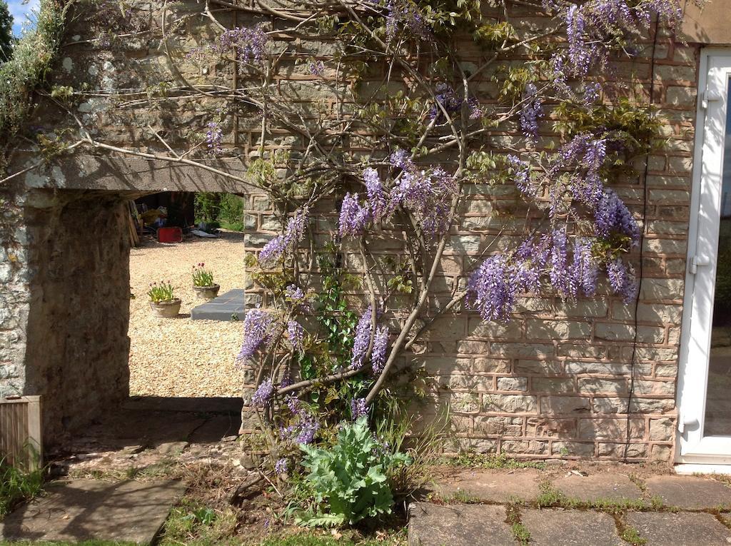 Ross-on-Wye The Coach House Bed & Breakfast エクステリア 写真